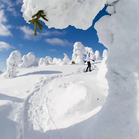 Hotel Hotel Iso-Syoete