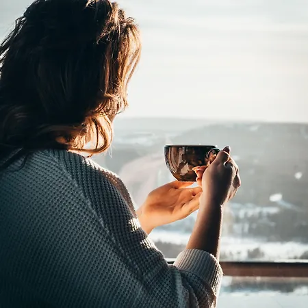 Hotel Hotel Iso-Syoete 4*