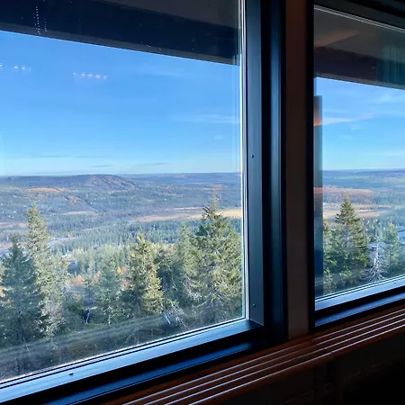 Hotelli Hotel Iso-Syöte 4*