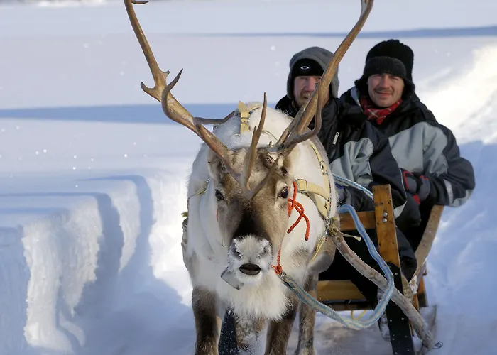 Hotel Iso-Syöte 4* Iso-Syöte