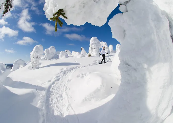 Hotelli Hotel Iso-Syöte