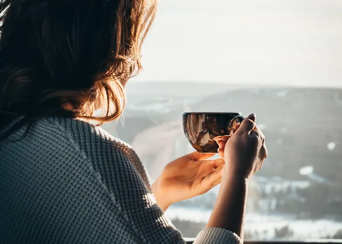 Hotelli Hotel Iso-Syöte 4*