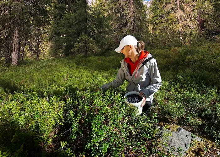 Hotelli Hotel Iso-Syöte 4*